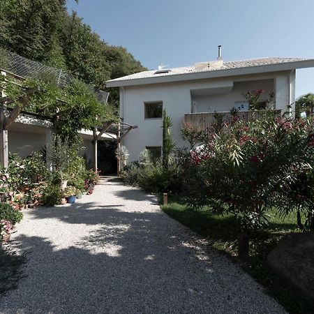 La Loggia Georg Apartment Pianizza di Sopra Exterior photo